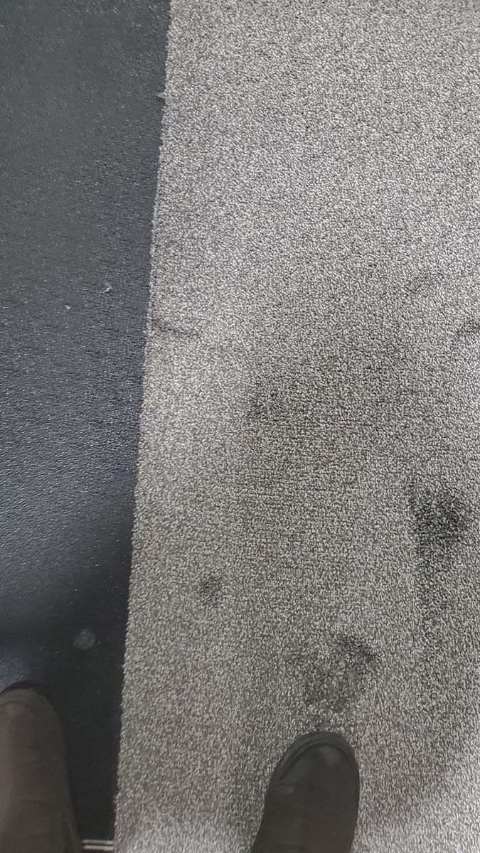 Grey or Salt and Pepper Carpet