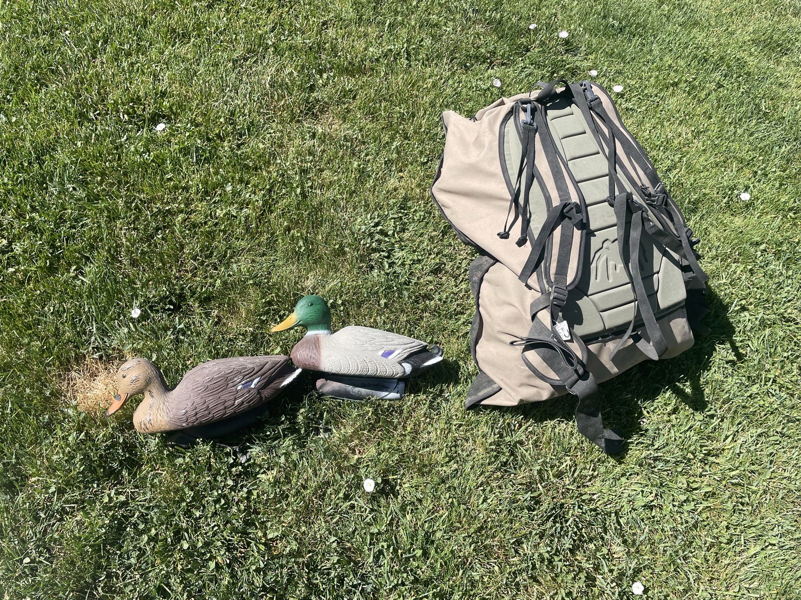 1 Dozen Decoys and Backpack Style Carry Bag
