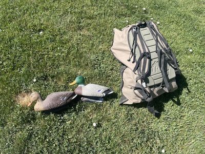 1 Dozen Decoys and Backpack Style Carry Bag