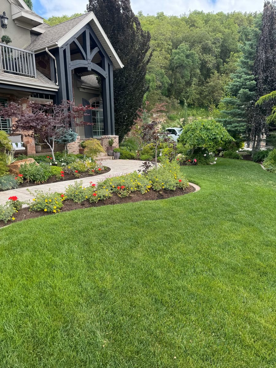 Lush Kentucky Blue Grass