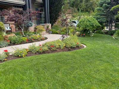 Lush Kentucky Blue Grass