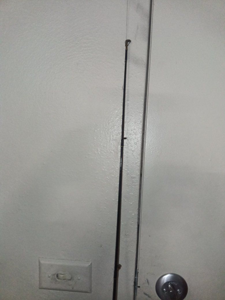 Quantum Lite Fishing Rod & Shakespeare Reel Nice!