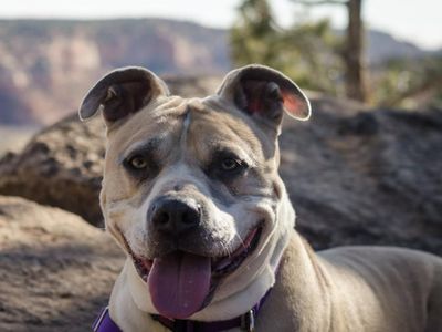 Hello my name is Barat