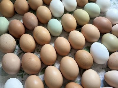 Farm Fresh Eggs