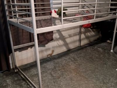 Loft bed