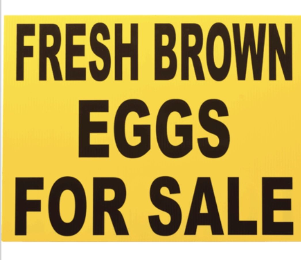 Fresh brown eggs 