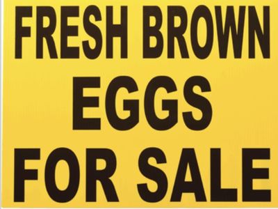 Fresh brown eggs