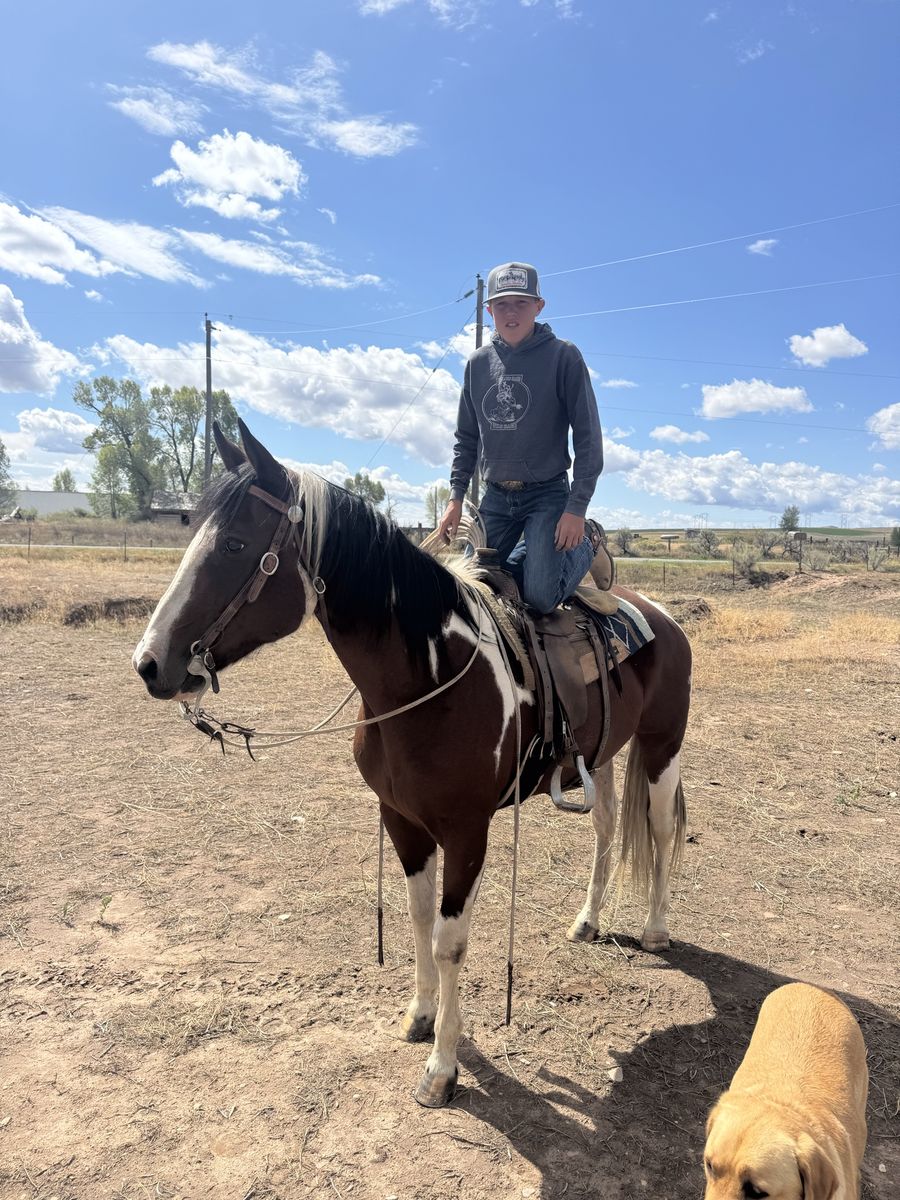 Kid Horse