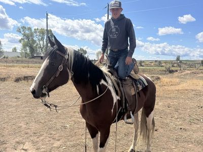 Kid Horse