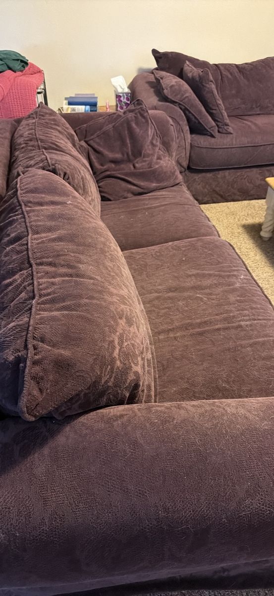Purple sofas