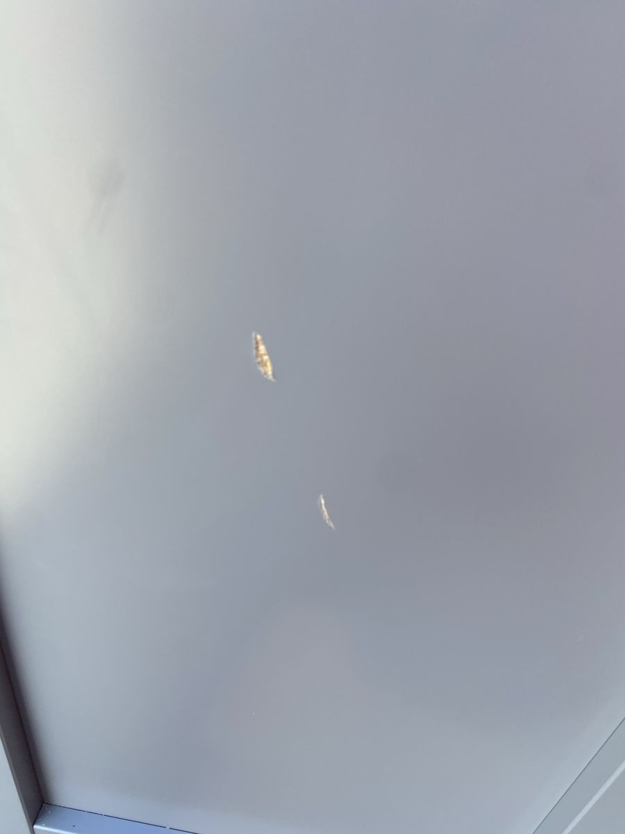 Main image 4