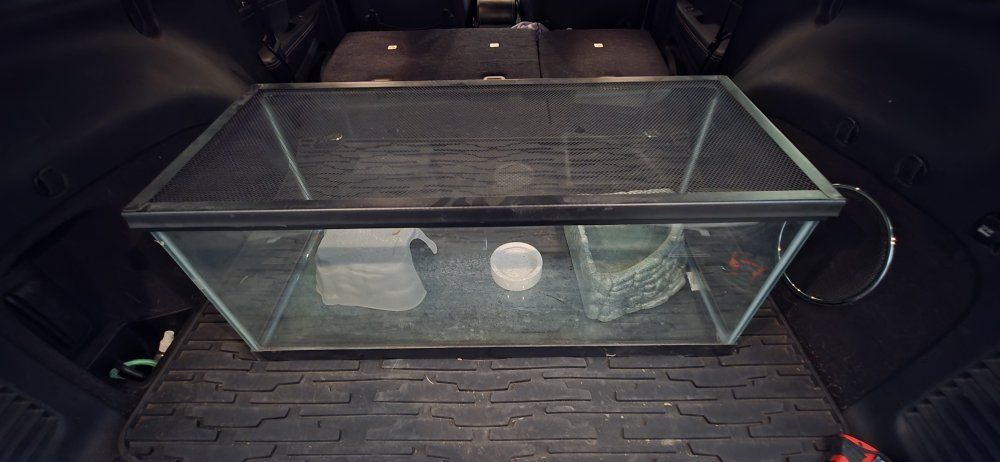 Full setup! Large 20 gallon long terrarium/aquarium with Screen Top, 10 gallon aquarium - Used, tons of accesories