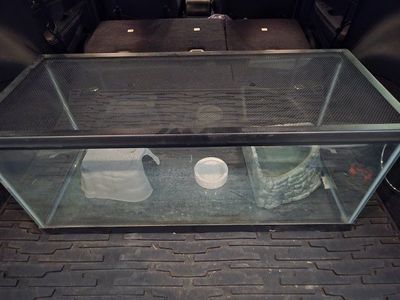 Full setup! Large 20 gallon long terrarium/aquarium with Screen Top, 10 gallon aquarium - Used, tons of accesories