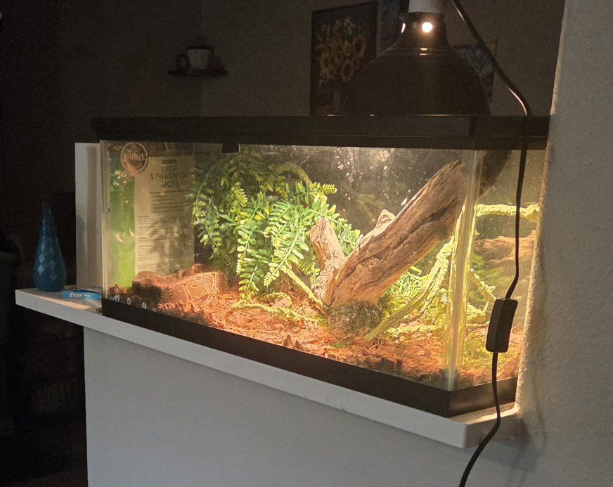 Reptile Tank 80 Gallon