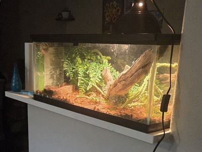 Reptile Tank 80 Gallon