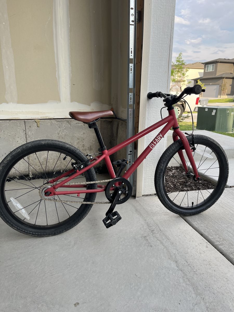 Cleary Hedgehog 20-inch Kids' Bike, Red, Single Speed, Brown Saddle