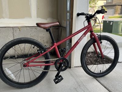 Cleary Hedgehog 20-inch Kids' Bike, Red, Single Speed, Brown Saddle