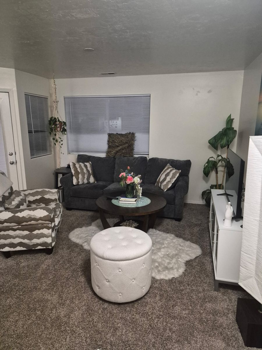 Lease Takeover Opportunity - WHOLE apartment for rent!!!