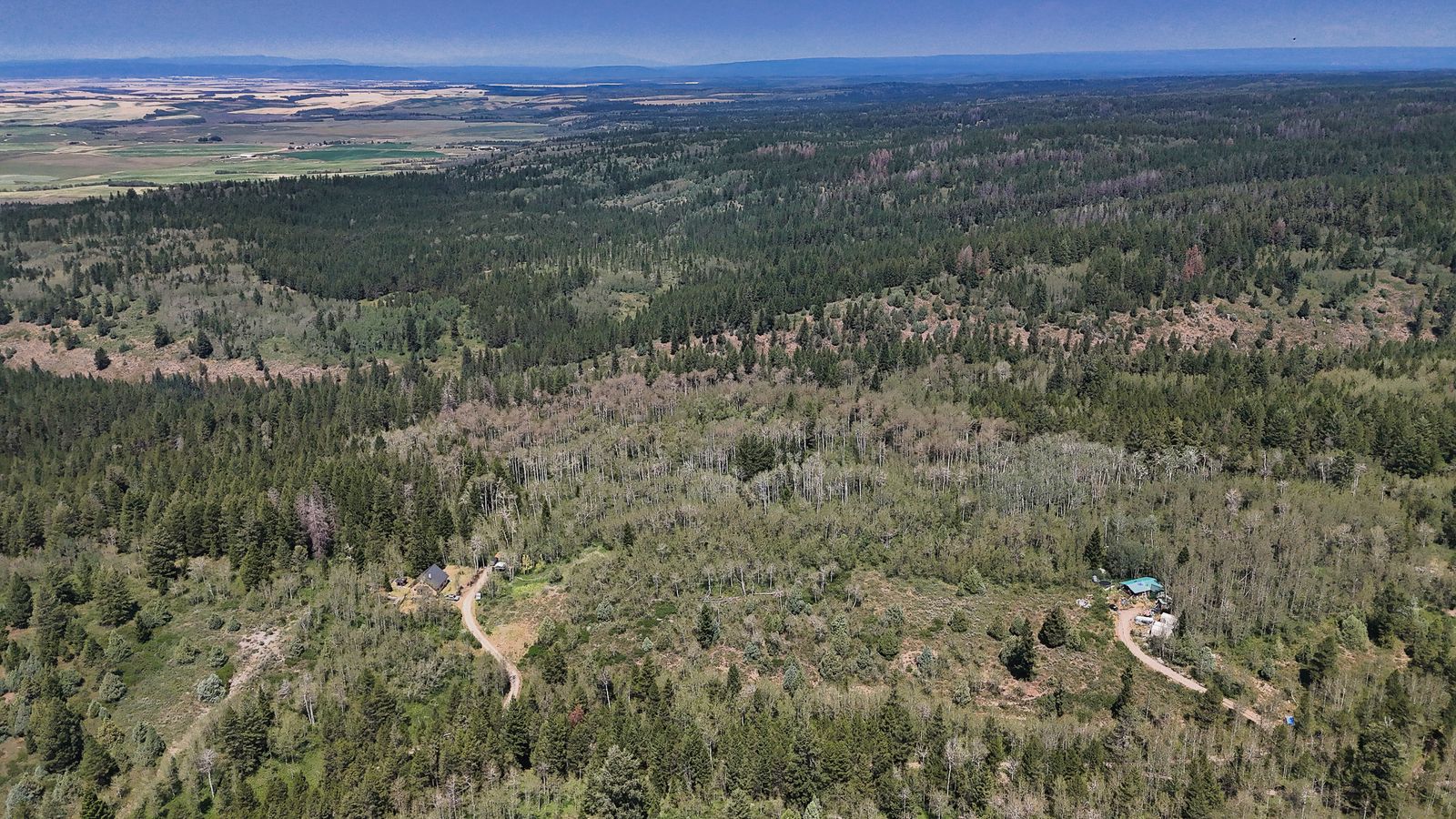 Main image 30