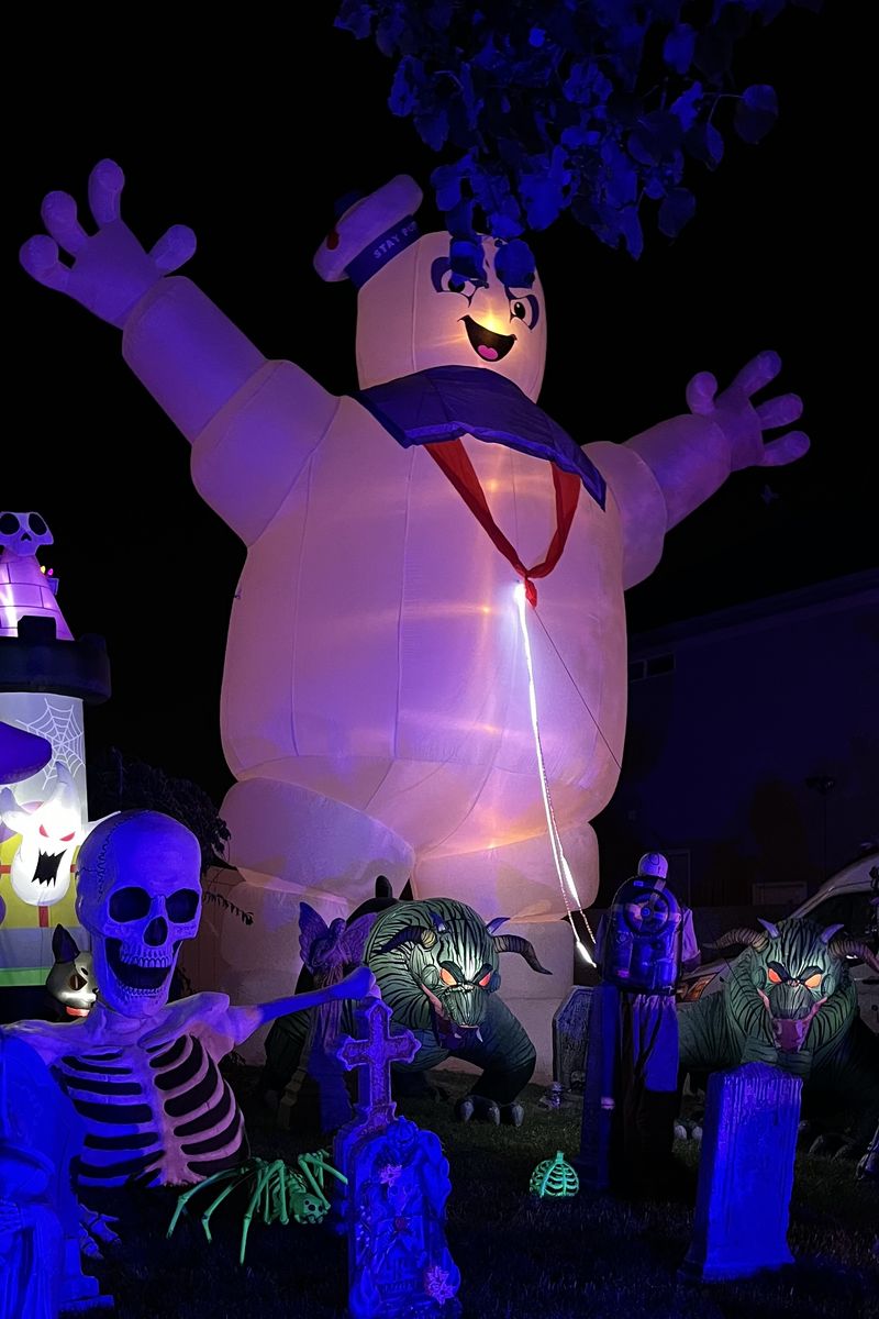 Main image 3