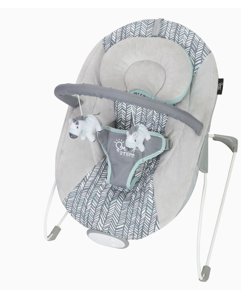 New Baby Bouncer