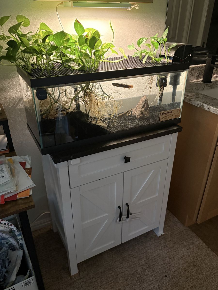 Tank stand, filter, tank