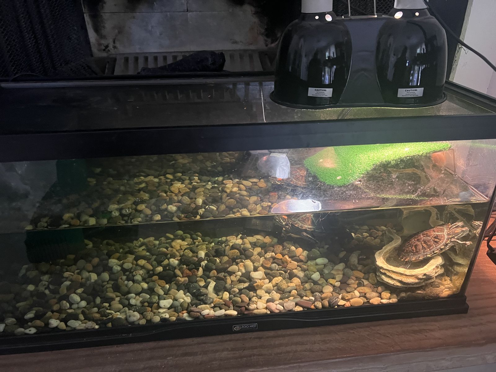Two Red Eared Sliders, Aquarium, Supplies. Best offer accepted.