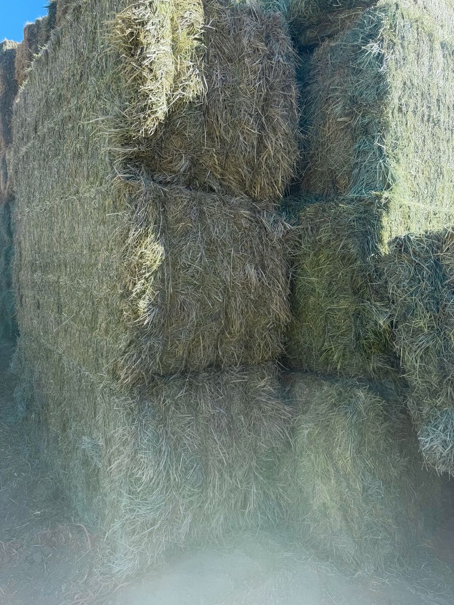 Grass mix hay