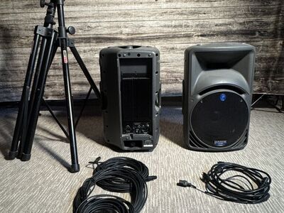 Mackie SRM 450 (pair)