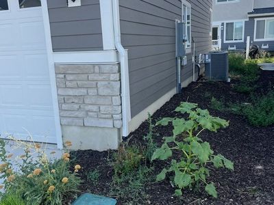 Weeds Removal Yard Clean Up Mowing Great Prices