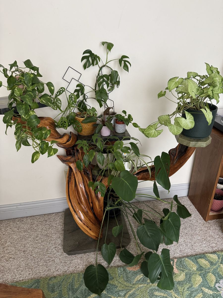 Plant Stand