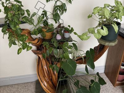 Plant Stand