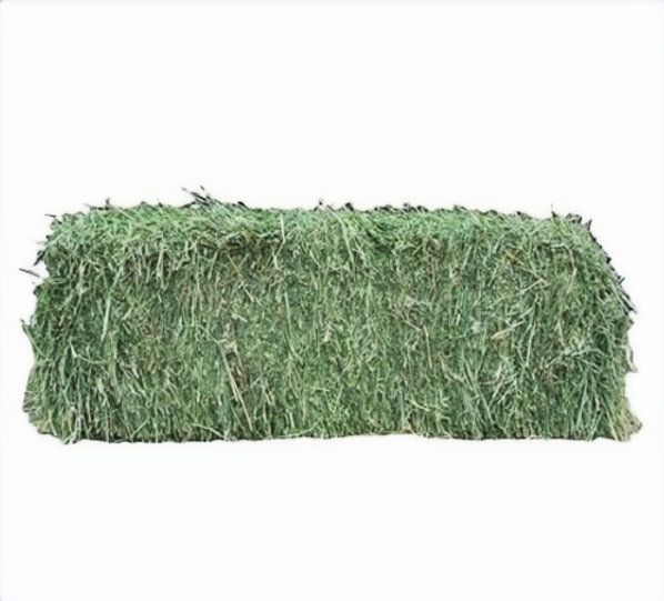 Premium Clean Alfalfa Hay for sale