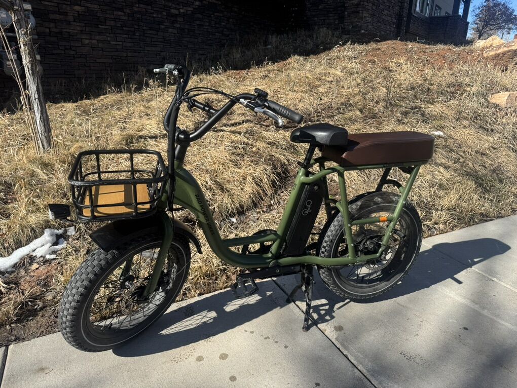 Electric Bike (Rad Runner 2)