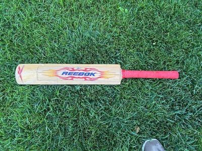 Pro Cricket Bat