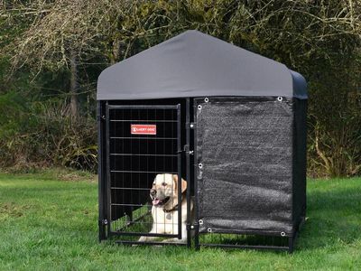Lucky Dog STAY Series Studio Jr. 4'x4' Dog Kennel with Privacy Screen 1643879 #87392
