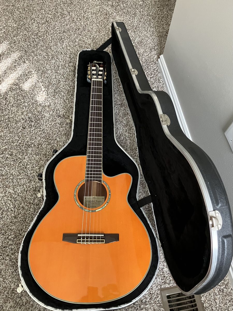 Ibanez Nylon Guitar