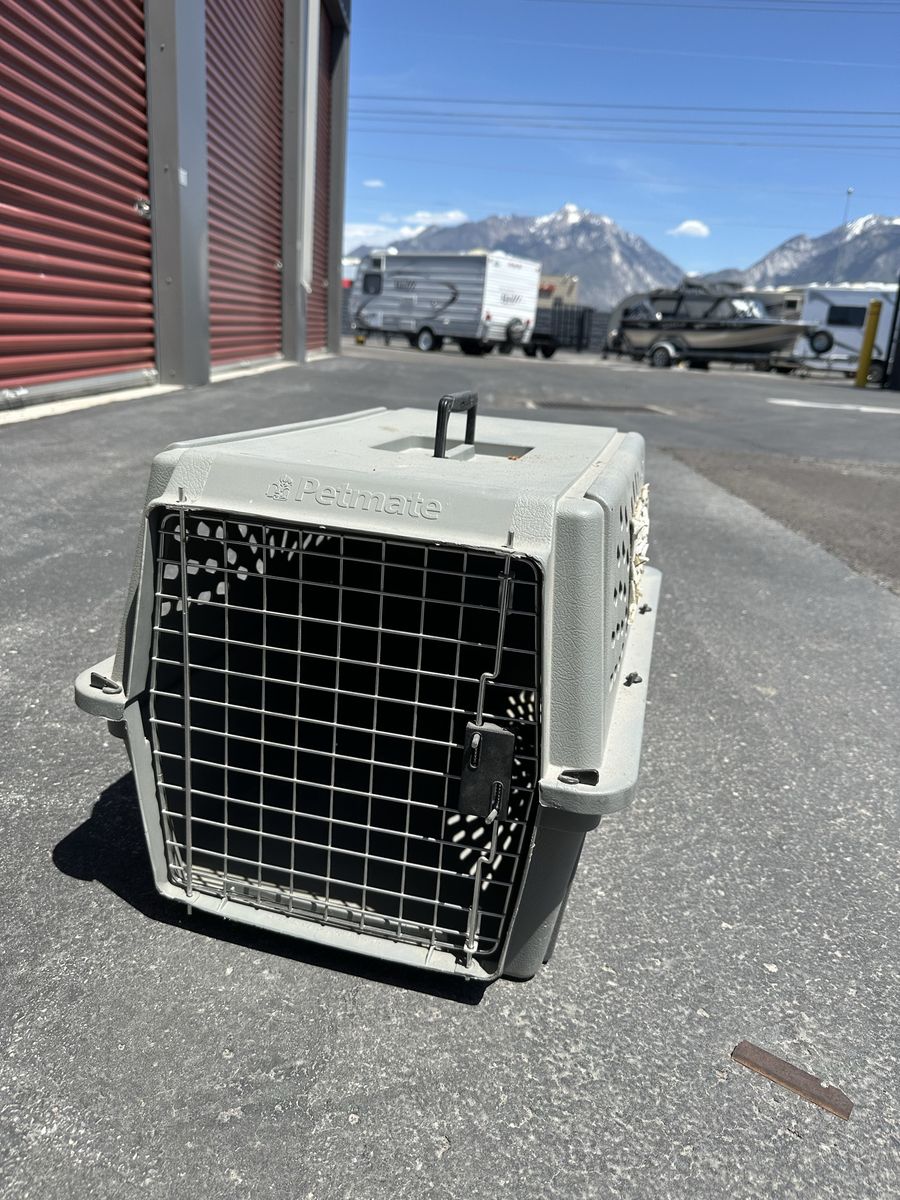 Petmate Gray Hard-Sided Pet Carrier - Small Dog/Cat Travel Kennel