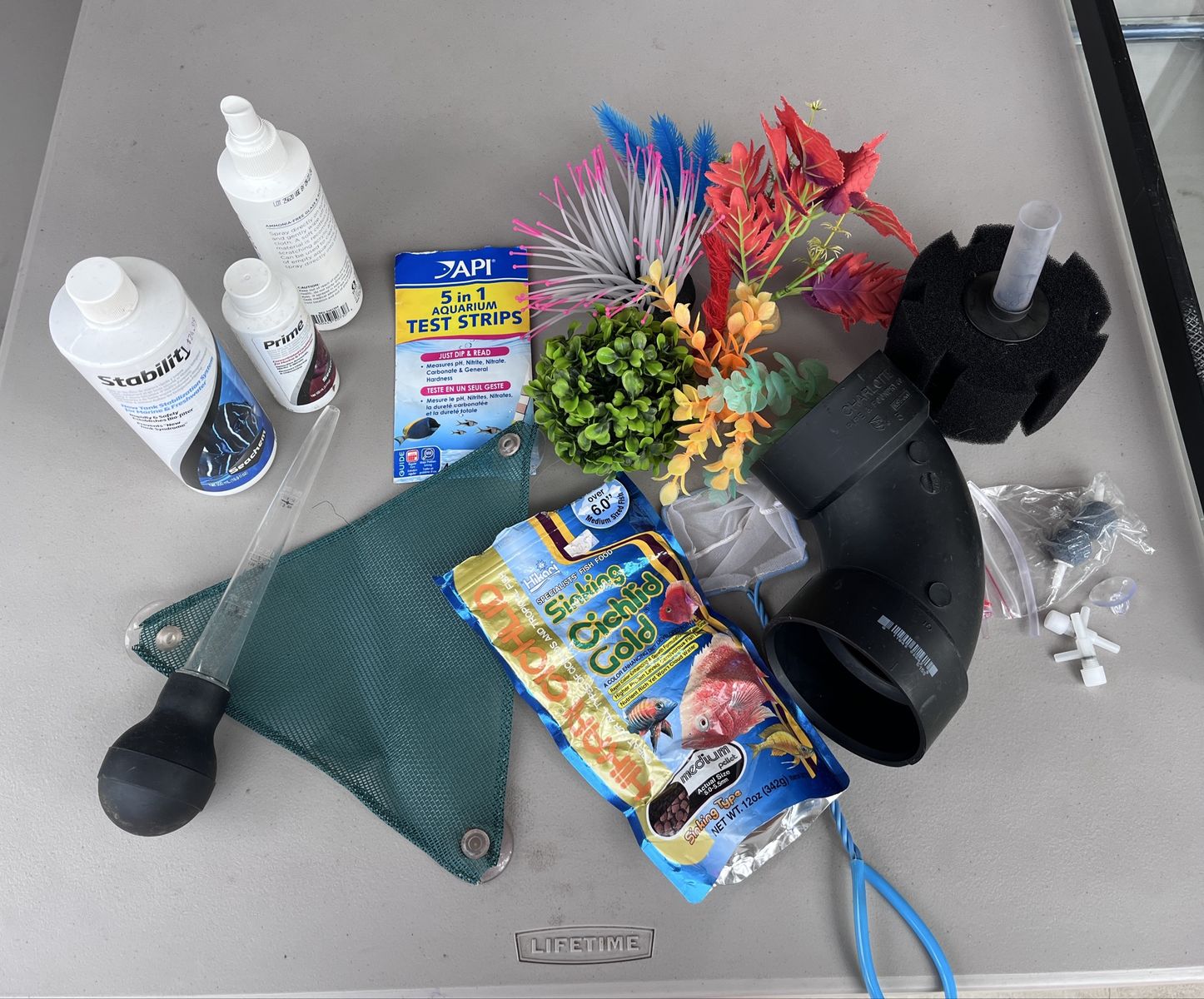 Aquarium and supplies - perfect for axolotl