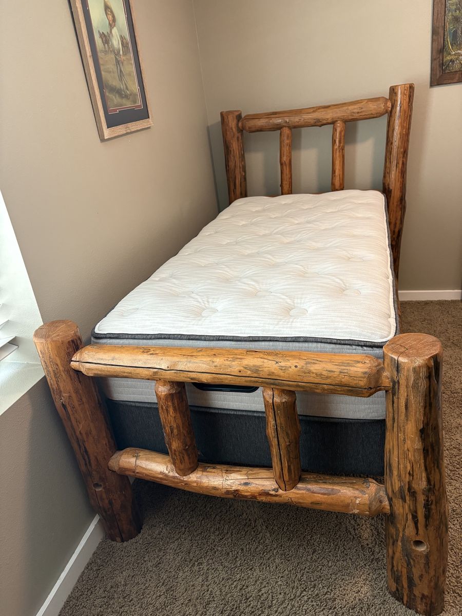 Twin log bed