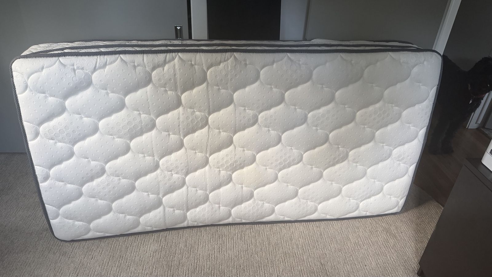 Clean twin mattress pillow top