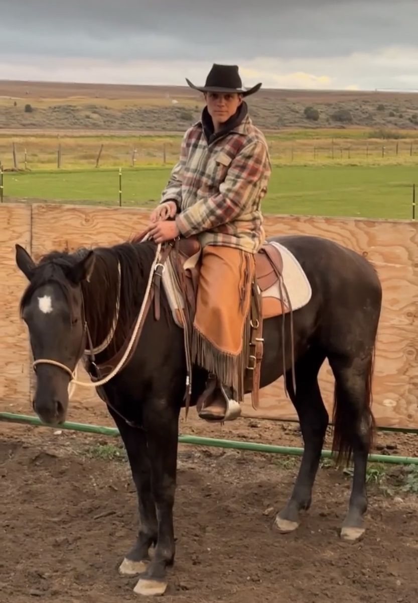 Half Draft Mare