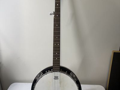 Johnson 5 String Banjo - Minor Damage On Resonator