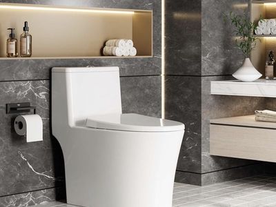 Modern One-Piece Toilet - Dual Flush, Elongated, Easy Clean Design