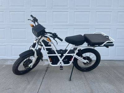 Dual Electric Drive 250 Lithium Ion E-Bike - White