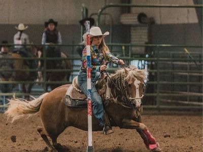 9yo pole/barrel horse
