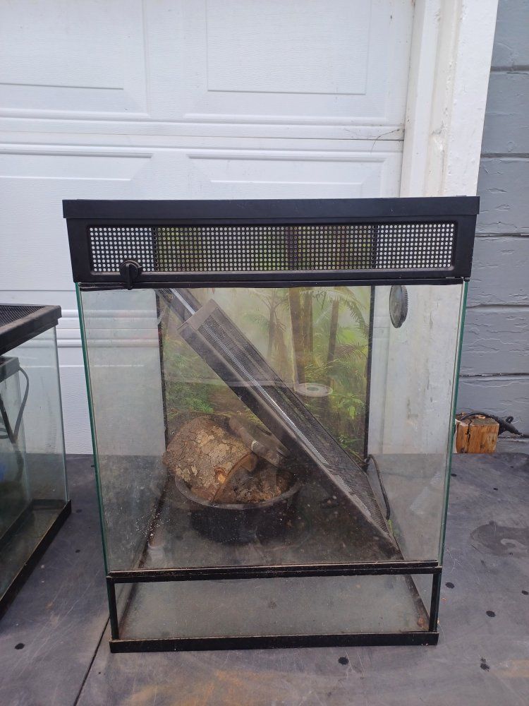 Glass Reptile Terrariums and Aquariums Bundle with Accessories