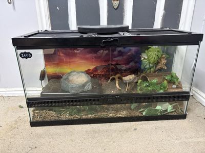 Full reptile setup