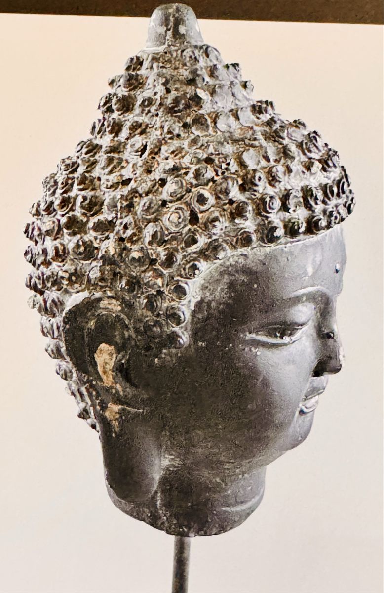 Main image 5