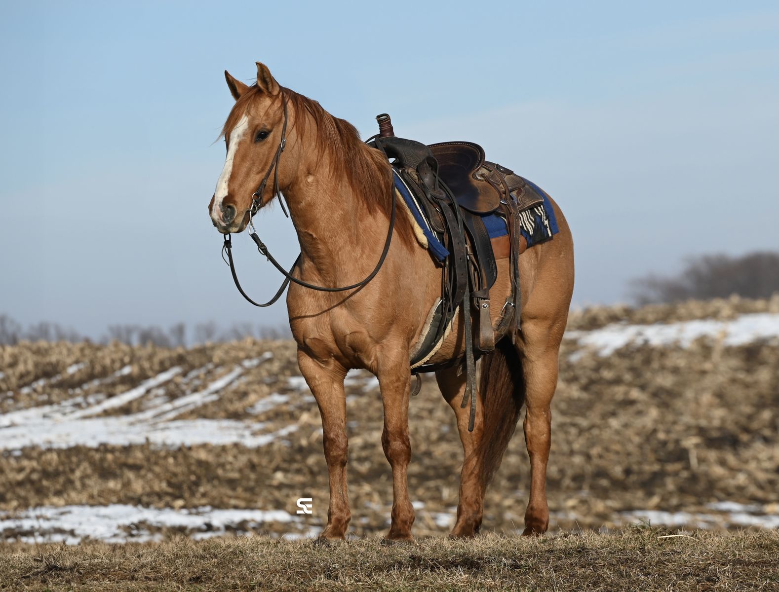 𝘼𝙫𝙖𝙞𝙡𝙖𝙗𝙡𝙚 𝙋𝙍𝙄𝙑𝘼𝙏𝙀𝙇𝙔 - 𝗕𝗥𝗢𝗞𝗘 𝗧𝗿𝗮𝗶𝗹 & 𝗥𝗮𝗻𝗰𝗵 𝗗𝘂𝗻 𝗚𝗲𝗹𝗱𝗶𝗻𝗴!